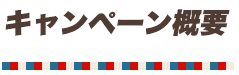 学ロボキャンペーン概要