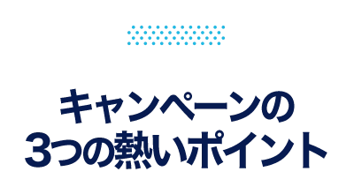 キャンペーンの３つの熱いポイント